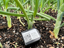 ExactLog™ TH: Temperature and Humidity Data Logger